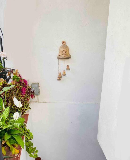 Bonito Y Comodo Departamento En Taxco! Lägenhet Exteriör bild